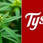 Getimg Breaking Us Politics Marijuana Reform Stalls Amid Addiction Crisis And Tyson Closure Hits Rural Economies 1764166569