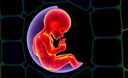 Getimg Breakthrough Discovery Mechanical Forces Essential For Human Embryo Development Study Finds 1763812407