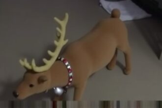 Getimg Derbyshire Polices Festive Fumble Toy Reindeer Mistaken For Abandoned Dog Sparks Viral Holiday Laughter 1764028530