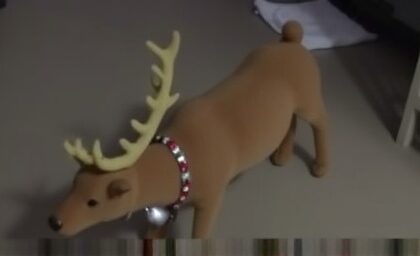 Getimg Derbyshire Polices Festive Fumble Toy Reindeer Mistaken For Abandoned Dog Sparks Viral Holiday Laughter 1764028530
