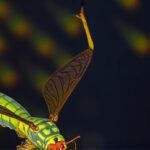Getimg Fireflies Defy Decline With Surprising Northeast Surge High Tech And Community Research Reveal Key Insights 1764166690