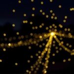 Getimg Fireflies Sparkle Brighter Than Ever In Northeast U.s. Amid Global Decline High Tech And Community Research Reveal Key Insights 1764170661