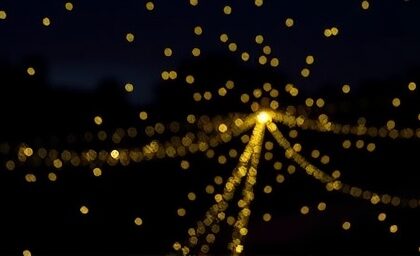 Getimg Fireflies Sparkle Brighter Than Ever In Northeast U.s. Amid Global Decline High Tech And Community Research Reveal Key Insights 1764170661