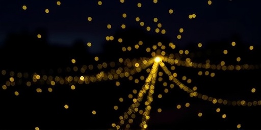 Getimg Fireflies Sparkle Brighter Than Ever In Northeast U.s. Amid Global Decline High Tech And Community Research Reveal Key Insights 1764170661