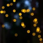 Getimg Fireflies Sparkle Brighter In Northeast Summers Amid Global Decline High Tech And Community Research Uncovers Key Insights 1764167037