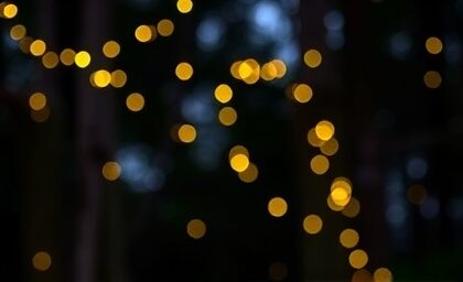 Getimg Fireflies Sparkle Brighter In Northeast Summers Amid Global Decline High Tech And Community Research Uncovers Key Insights 1764167037