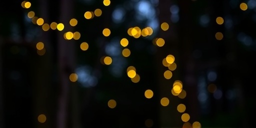 Getimg Fireflies Sparkle Brighter In Northeast Summers Amid Global Decline High Tech And Community Research Uncovers Key Insights 1764167037