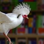 Getimg First Fatal H5n5 Bird Flu Case Confirmed Distinguishing This Deadly Avian Influenza Variant From H5n1 1764017568