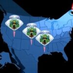 Getimg First Human Death From H5n5 Bird Flu In Washington State Sparks Public Health Alerts 1764017910