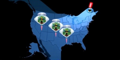 Getimg First Human Death From H5n5 Bird Flu In Washington State Sparks Public Health Alerts 1764017910