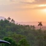 Getimg Five Tropical Forests Emerge As Vital Strongholds For North Americas Migratory Birds Study Reveals 1763822213