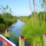 Getimg Florida Atlantic University Lands 1.4m Grant For Everglades Wildlife Restoration Efforts 1763826110