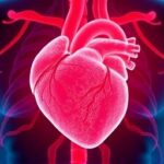 Getimg Heart Health After 40 Cardiologists Unveil Science Backed Lifestyle Changes To Slash Disease Risk 1763800940