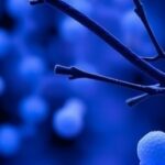 Getimg Nih Halts Small Business Awards Amid Severe Funding Cuts Threatening Biomedical Research And Innovation 1764013986