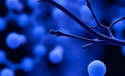 Getimg Nih Halts Small Business Awards Amid Severe Funding Cuts Threatening Biomedical Research And Innovation 1764013986