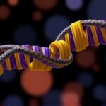 Getimg Parental Diets Before Conception Alter Babys Dna Methylation Boosting Lifelong Disease Risks Landmark Study Shows 1763801243