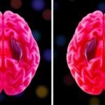 Getimg Promising Breakthrough Arginine Supplement Blocks Protein Aggregation In Alzheimers Models Easing Brain Damage 1763805008