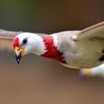 Getimg Second Human Bird Flu Death In Us 2025 Washington State Fatality Sparks Public Health Alerts 1763845185