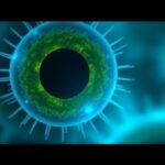 Getimg Stem Cell Breakthrough Michigan Medicine Trial Restores Vision In Advanced Macular Degeneration Patients 1763822142