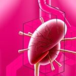 Getimg Surprisingly Common Liver Disease Affects Millions In Us The Hidden Health Crisis Gripping The Nation 1764167358