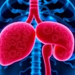 Getimg Surprisingly Common Liver Disease Affects Millions In Us The Silent Health Crisis Gripping The Nation 1764166932