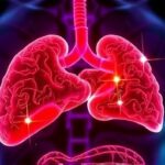 Getimg Surprisingly Common Liver Disease Affects Millions In Us The Silent Health Crisis Unveiled 1764167341