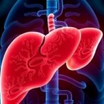 Getimg Surprisingly Common Liver Disease Affects Millions Of Americans The Silent Health Crisis Unveiled 1764167349