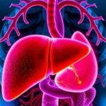 Getimg Surprisingly Common Liver Disease Affects Nearly 100 Million Americans The Silent Health Crisis Unveiled 1764170917