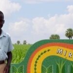 Getimg U.s. Aid Drives Dramatic Malaria Decline In Guinea Aaas Highlights Global Health Triumph 1764167085