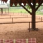 Getimg U.s. Partnership Drives Malaria Retreat In Guinea Aaas Spotlights Global Health Triumph 1764170688