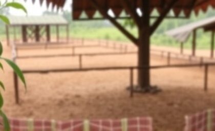 Getimg U.s. Partnership Drives Malaria Retreat In Guinea Aaas Spotlights Global Health Triumph 1764170688