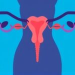 Getimg Why We Fall Easily For False Health Info Medicalnewstoday Experts Reveal How To Update Mistaken Beliefs Alongside Ibs And Endometriosis Myths 1764171020